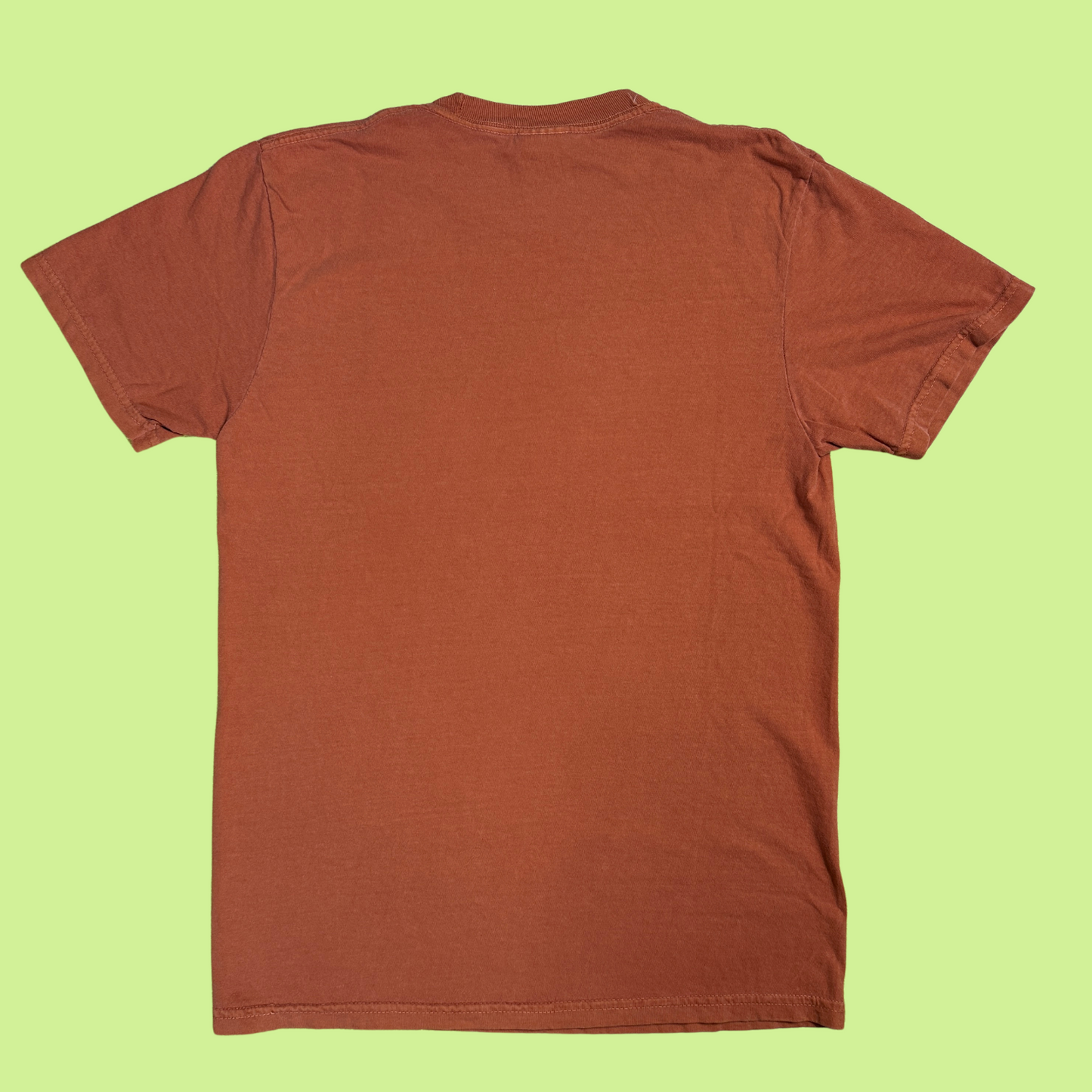 The back of the cider/spooky season rust colored shirt. Just blank.