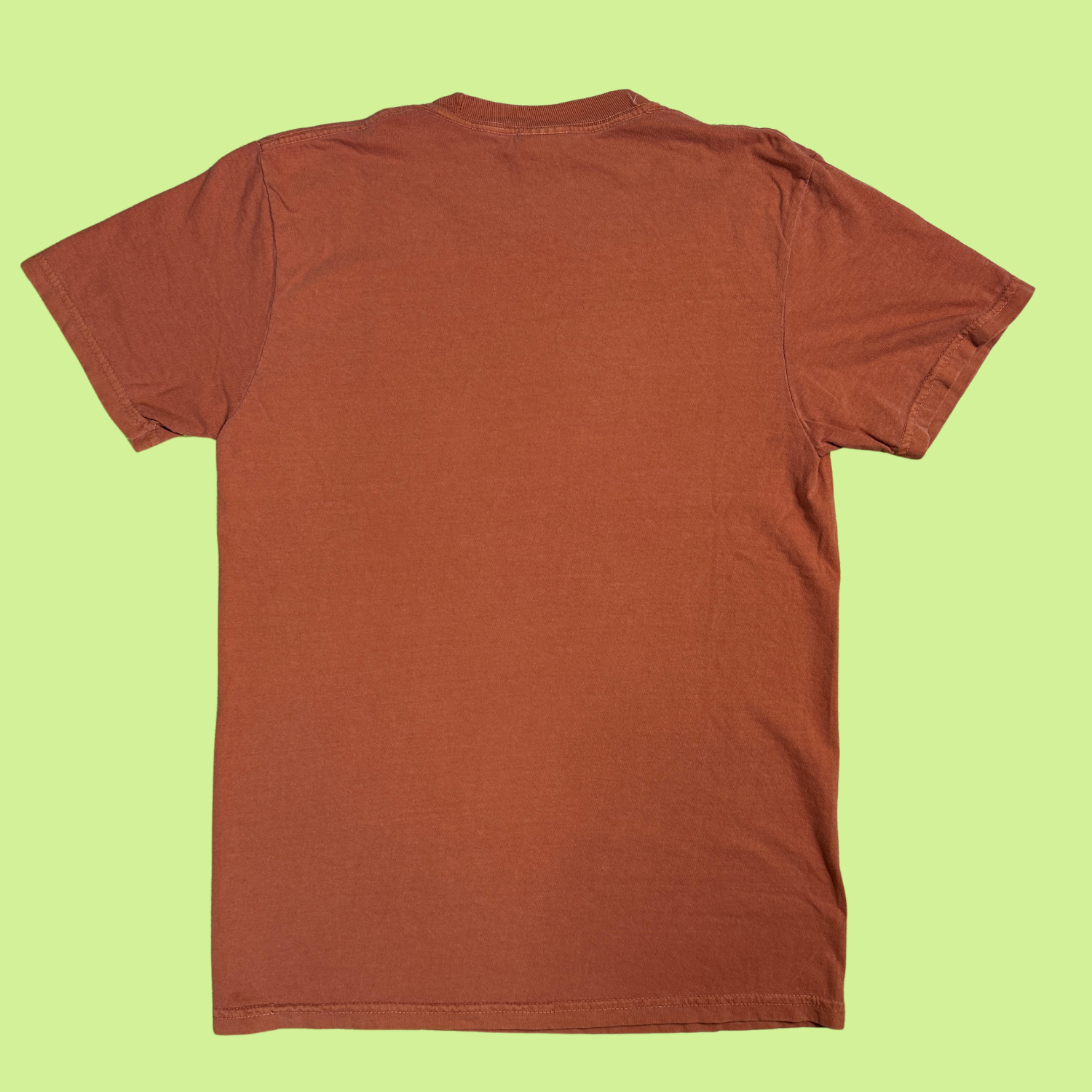 The back of the cider/spooky season rust colored shirt. Just blank.